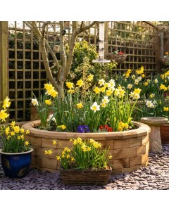 Ronde Moestuinbak - Laag / 123 x 35 cm