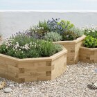 Achthoekige Moestuinbak - Driedelig/Multi-niveau / 327,2 x 224,8 x 55 cm