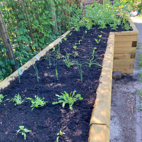 Jeroen’s L-vormige moestuin