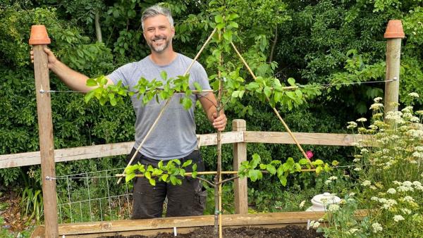 Wat je kunt kweken in moestuinbakken