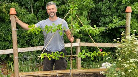 Wat je kunt kweken in moestuinbakken