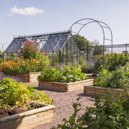 Steve's moestuin