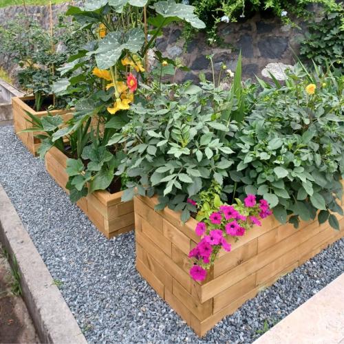 Het mini moestuintje van Marina