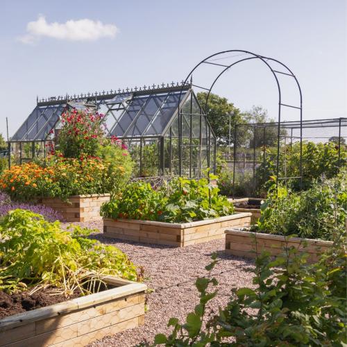 Steve's moestuin