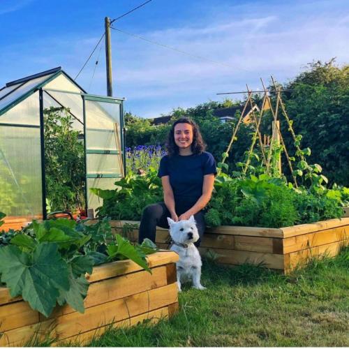 Emily’s moestuin