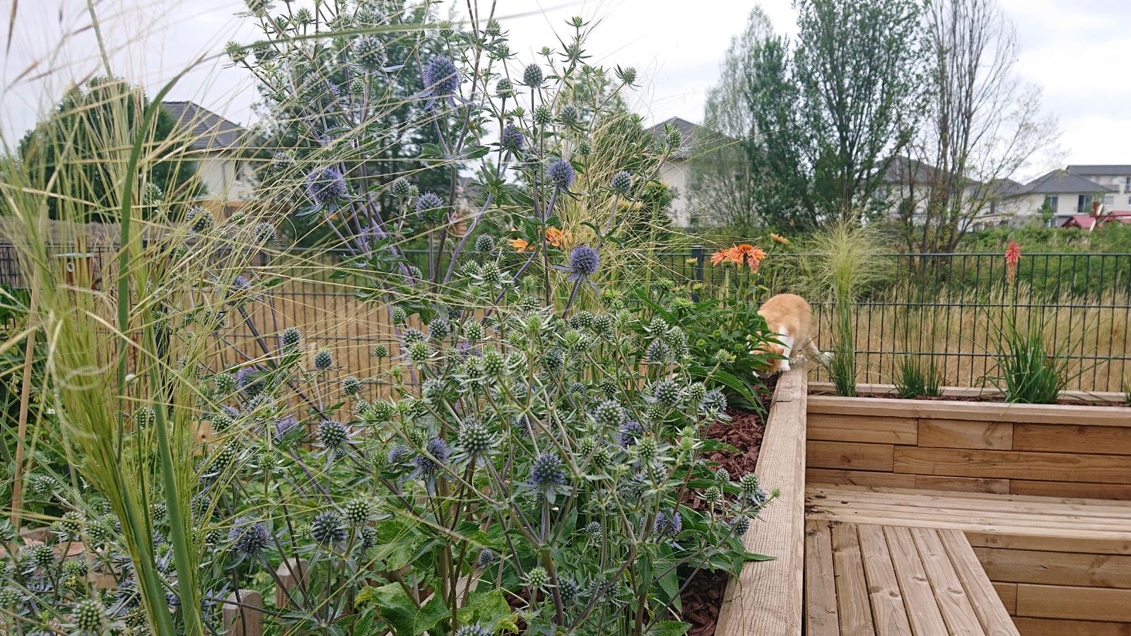 Planting-ideas