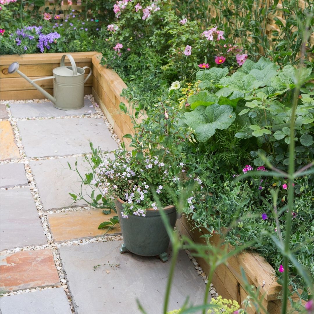Small-new-build-garden-border (1)