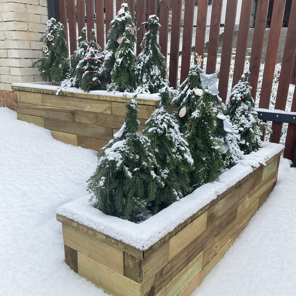 De dagen worden korter en het wordt steeds kouder, maar januari biedt de perfecte gelegenheid voor het plannen, voorbereiden en zorgen voor je tuin!