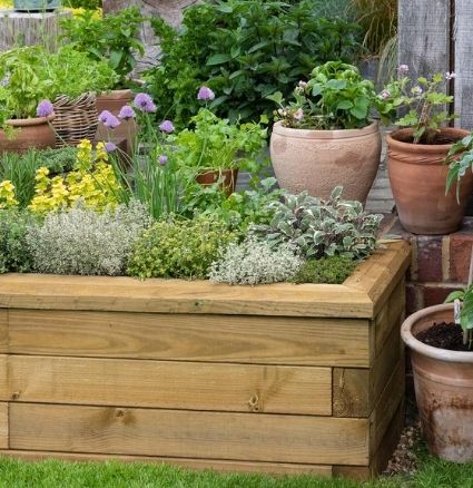 Small garden ideas - raised beds